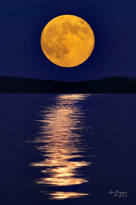 Btw, fighting for river where the moon rises!!! Shine On Harvest Moon rising on Lake Jordan, North ...