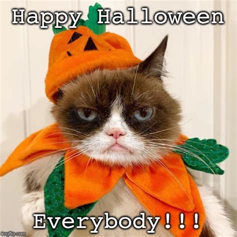 Happy Halloween Kitty Meme Russell Whitaker