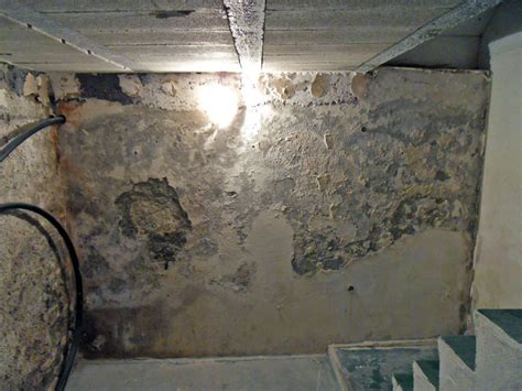 Maybe you would like to learn more about one of these? Mur cave humide - Bande Transporteuse Caoutchouc