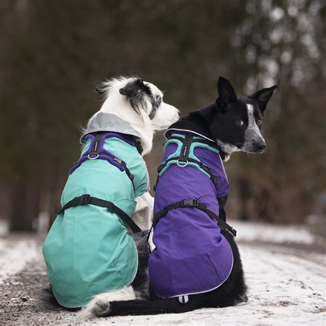 Can My Chilly Dogs Coat Be Worn With A Harness Chilly Dogs