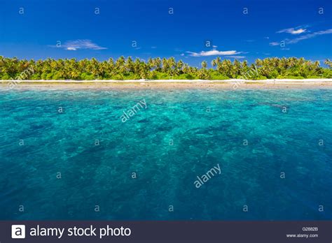 Coral Sandy Stock Photos And Coral Sandy Stock Images Alamy