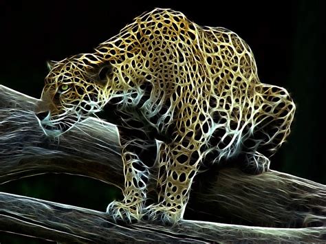 Jaguar Watching Photograph By Sandy Keeton Pixels