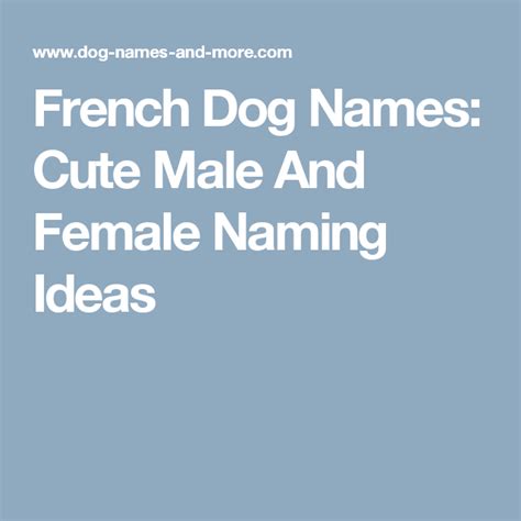 French Dog Names Cute Male And Female Naming Ideas Femaledognames