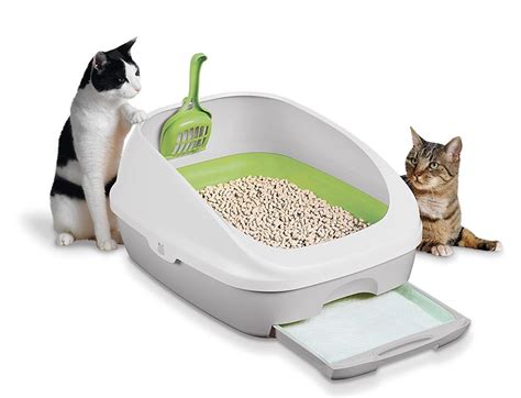 The Best Odor Free Cat Litter Boxes Home And Garden