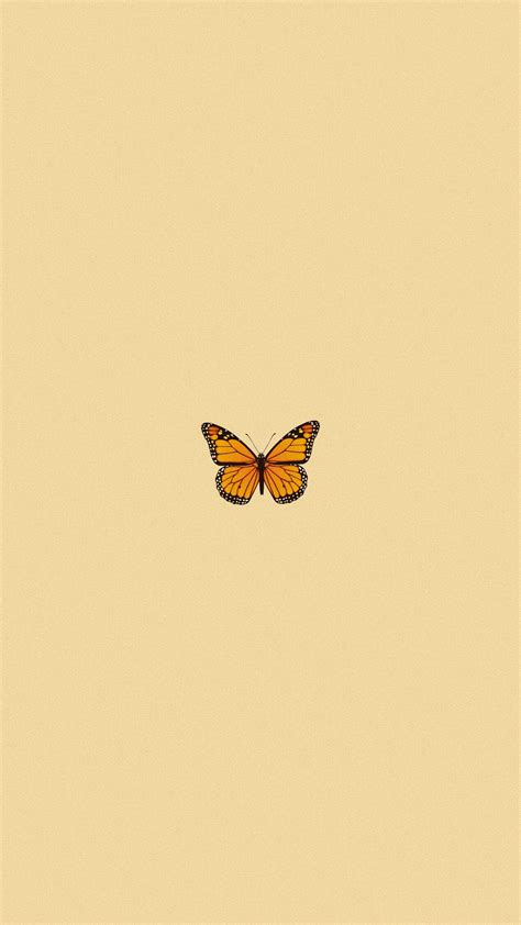 Aesthetic Simple Butterfly Wallpapers Wallpaper Cave