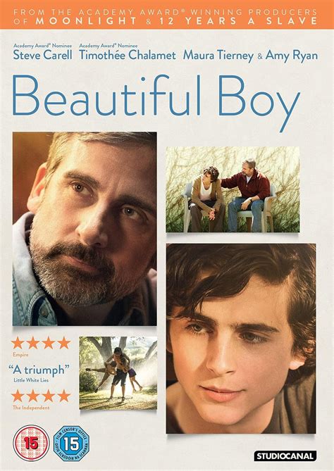 Beautiful Boy Dvd 2019 Uk Steve Carrell Timothée