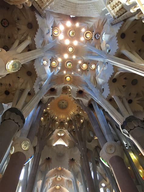 Sagrada Família Ceiling Photos From Chris Hardie