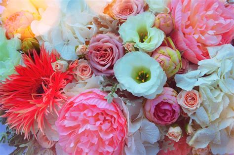 Free Images Wedding Color Beautiful Background