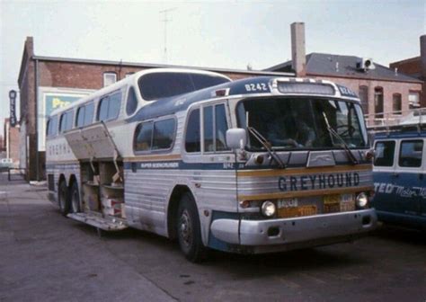 Buses In 1950s Greyhound Bus 1950s Bus Camper Bus 3 Ups Bus