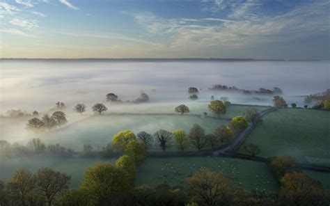 Nature Landscape Trees Forest Hill Morning Mist Field Clouds