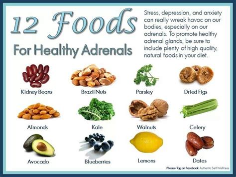 Healthy Adrenals Food Medicine Healthy Energy Foods Raw Food Recipes