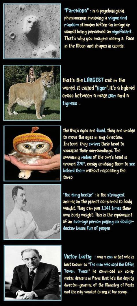 Crazy Facts You Didnt Know 10 Pics