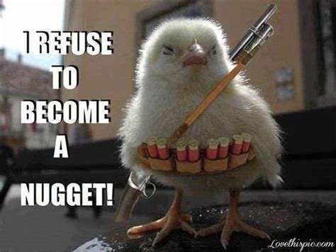 I Refuse To Become A Nugget Funny Chicken Meme Picture