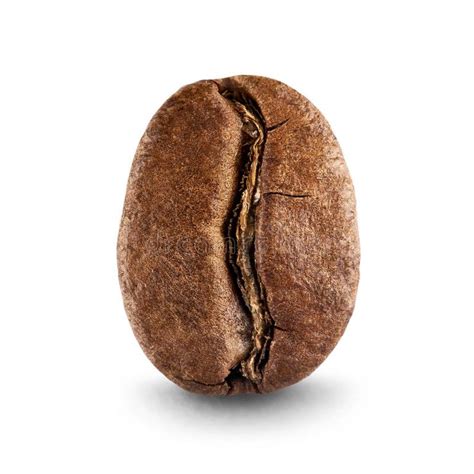 Coffee Bean On White Background Aff Bean Coffee Background