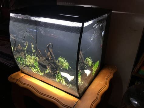 Many of our aquariums are made from glass or. Best 15 Gallon Fish Tank: Aquarium Reviews and Setup Ideas