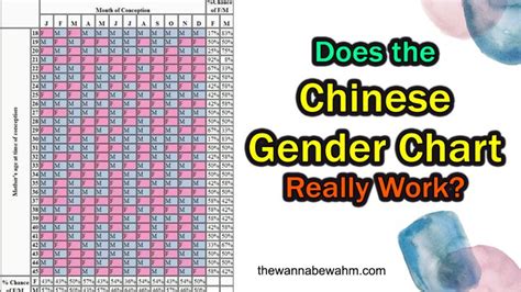 Does The Chinese Gender Chart Really Work Truth Exposed