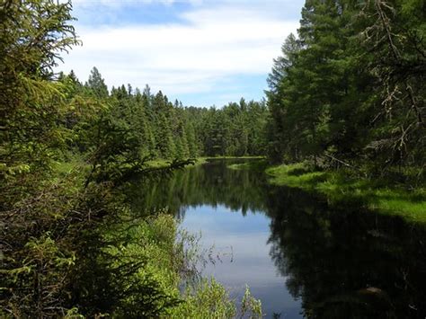 Why we live ‘ Up North’