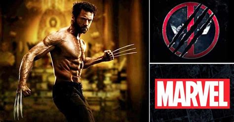 hugh jackman to make his wolverine comeback not with deadpool 3 but with another big budget