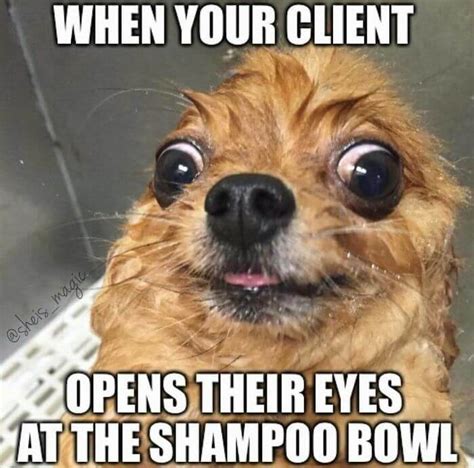 Hilarious Hairstylers Memes To Make Clients Feel A Bit Embarrassed