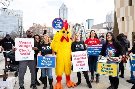 How Peta Saved Chickens On Super Bowl Sunday Peta