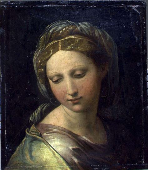 Raphael Raphael Paintings Portrait Renaissance Art