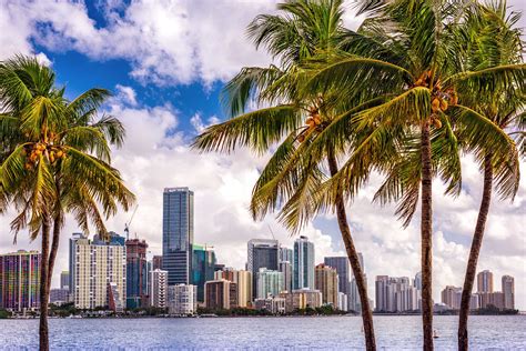 Showers and thunderstorms are expected across the region this afternoon. HD Camera Crew in Miami - HD Miami Film Crew - Palm Beach ...