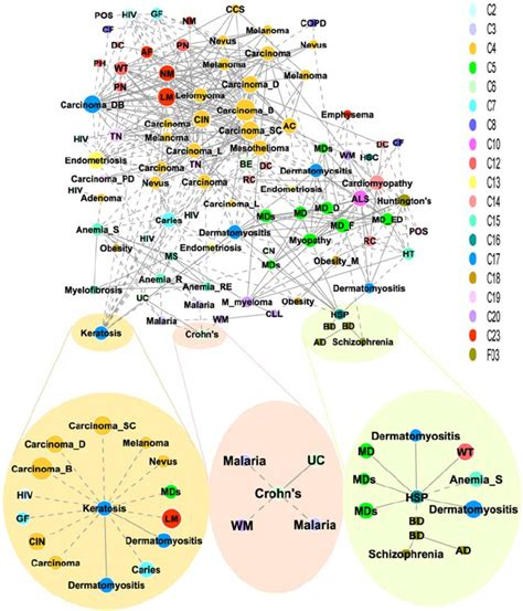 Human Disease Network In The Disease Network Each Node Corresponds To