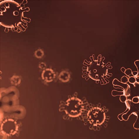 Coronavirus Updates Georgetown University In Qatar