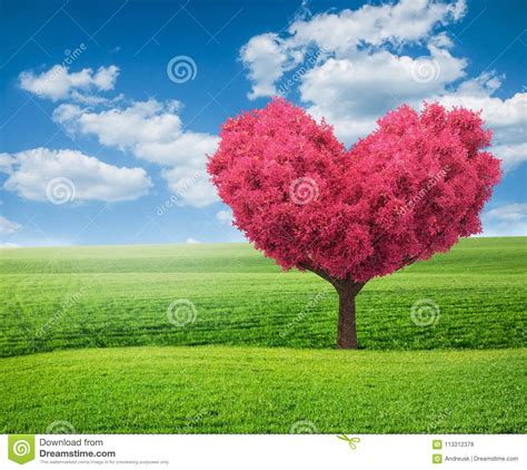 Green Field And Pink Tree In Shape Of Heart Stock Illustration