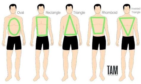 And while some aspects of sheldon's system have been debunked, contemporary research has confirmed that body type does have implications for athletic performance. Alkattípusok | Eleven Ruhatár