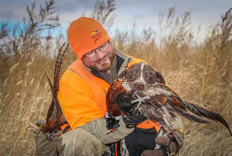 Pheasants Forevers 2017 Pheasant Hunting Forecast Small Game Texas