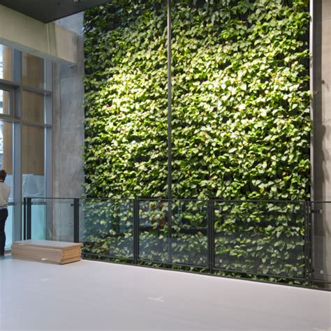 Vertical Green Wall Green Conceptors