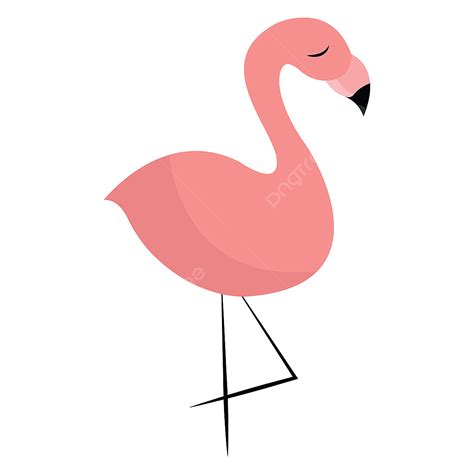Colorful Flamingo Clipart Hd Png A Standing Flamingo Vector Or Color
