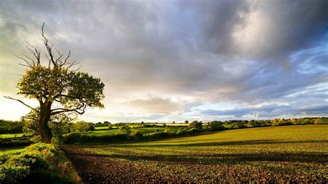 English Countryside Wallpaper 48 Pictures Landscape Wallpaper