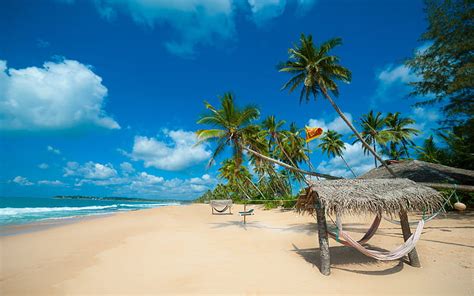 Hd Wallpaper Summer Background Tropical Beach With Palmiokean With