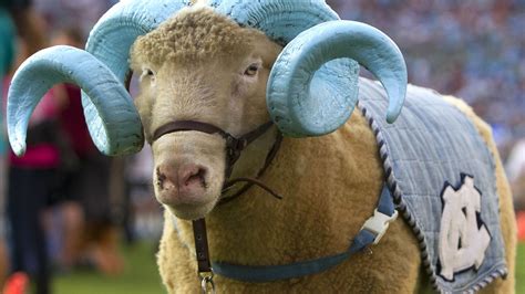 History of UNC’s mascot Rameses - Tar Heel Blog