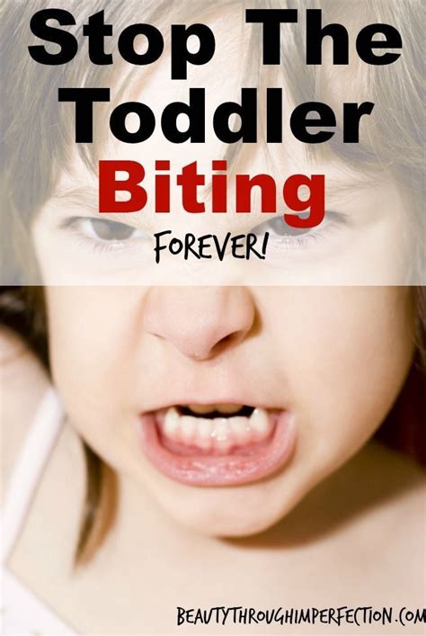 When Toddlers Bite And How To Make It Stop With Images Toddler