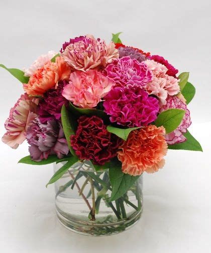 Carnival Of Color Carnations Two Dozen Mixed Color Carnations Arranged