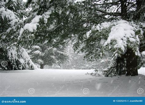 Peaceful Winter Scene Stock Image Image Of Winter Urban 13325215