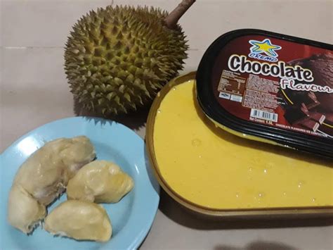Fahami konsep penambahan garam apabila membuat aiskrim goyang. Ais Krim Durian Homemade Yang Ohsem! Lebur Semua Dalam ...