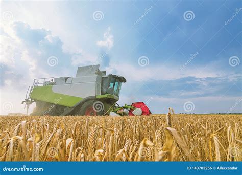 Combine Harvesting A Wheat Field Combine Working The Field Stock Photo