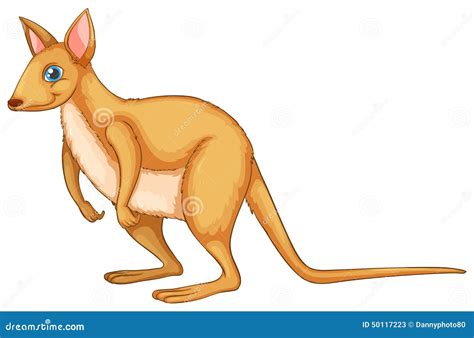 Wallaby Stock Vector Illustration Of Marsupial Jumping 50117223