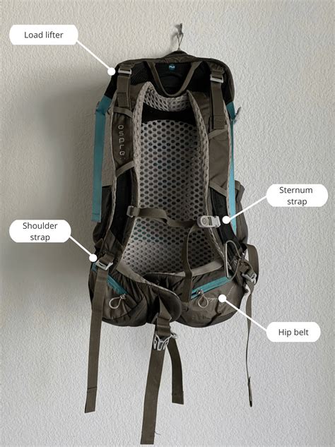 How To Choose And Adjust A Hiking Backpack The Right Way Your Step By Step Guide