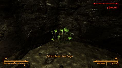 Harvestable Cave Fungus At Fallout New Vegas Mods And Community