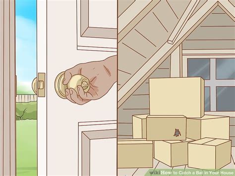 First of all, you must always lock the door when you go out. The Best Way to Catch a Bat in Your House - wikiHow