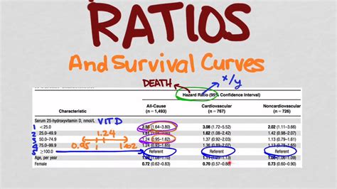 Hazard Ratios And Survival Curves Youtube