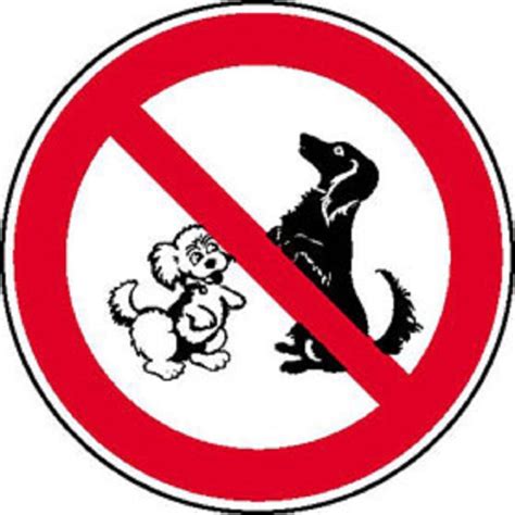 Verwunderung irgendwo wird jetzt der hund in der pfanne verrückt!. Verbotsschild Hundeverbot - Schild Hunde verboten - Folie oder Alu | eBay