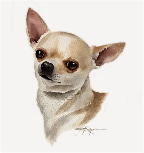 Maybe you would like to learn more about one of these? gunggung: Gambar 8 Anjing Chihuahua