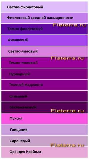 Оттенки сиреневого цвета палитра - Оттенки фиолетового. Таблица цветов | LOOKCOLOR