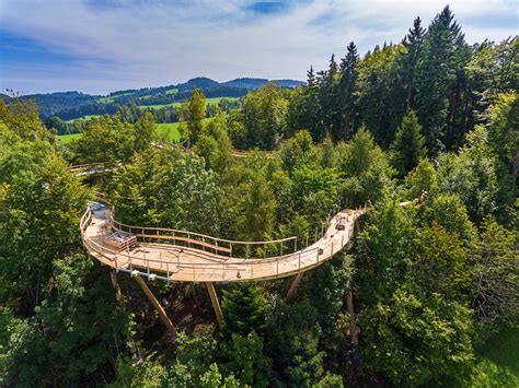 Early walkways consisted of bridges between trees in the. Switzerland gets its first treetop canopy walkway - Lonely ...